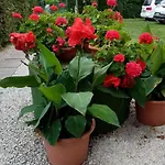 Am By Interhome Balatonmáriafürdő