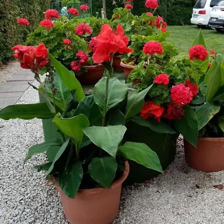 Am By Interhome Balatonmáriafürdő